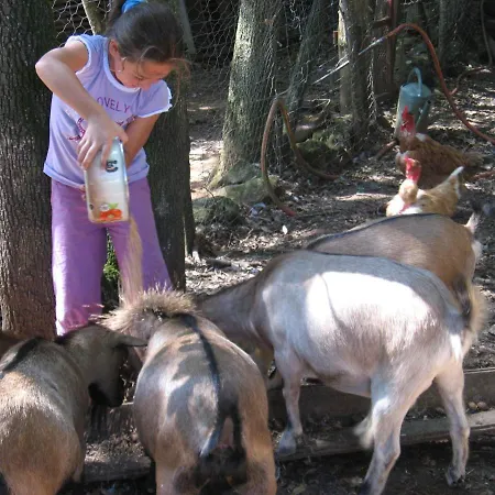 Camping Les Pierres Chaudes Veyrignac
