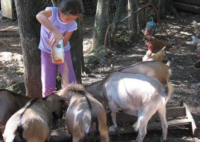 营地 Les Pierres Chaudes Veyrignac